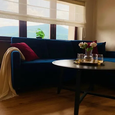 Apartment Victoria Aparts *