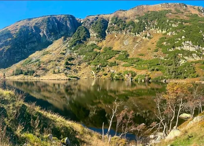 Victoria Aparts Apartment