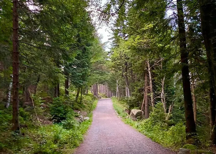 Apartment Victoria Aparts Karpacz