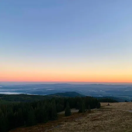 Victoria Aparts * קרפאז'