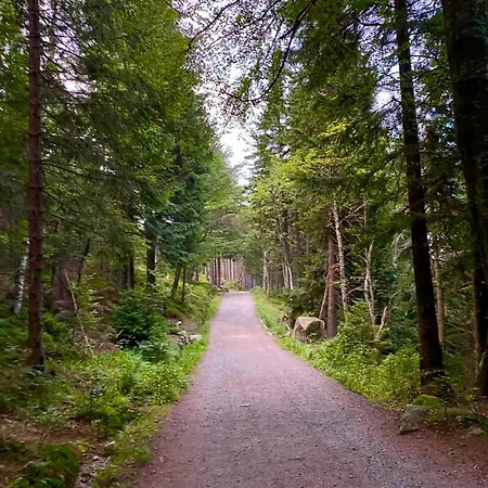 דירה Victoria Aparts קרפאז'